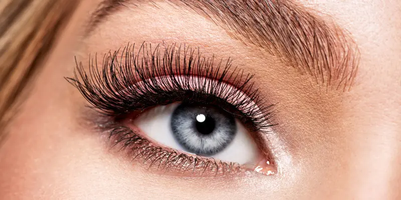 Tea Tree Oil for Lashes