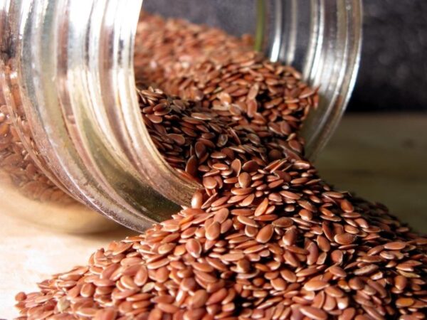 flax seeds in pakistan